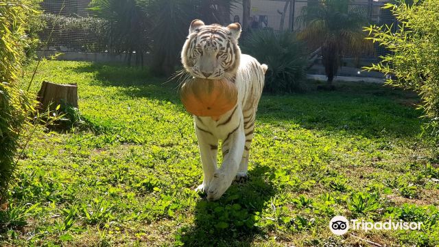 Naples Zoo