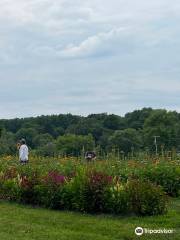 Rock Hill Orchard & Woodbourne Creamery