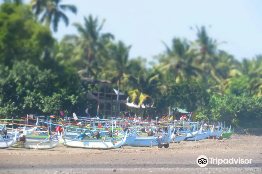 Surfing West Bali