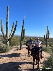 Cave Creek Outfitters, Horseback Riding, UTV/ATV Rental