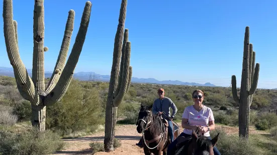 Cave Creek Outfitters, Horseback Riding, UTV/ATV Rental