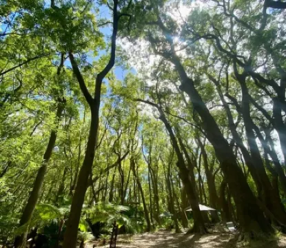 Vergelegen Wine Estate