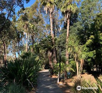 Armory Wharf Cafe Reviews Food Drinks In New South Wales Sydney Trip Com