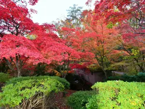 Yahiko Park