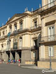 National Museum of Brazil