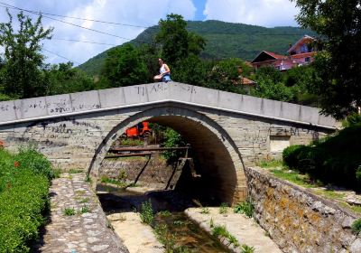 Вранє