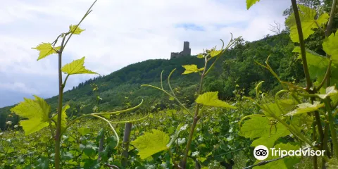 Domaine Jean-Paul Schmitt