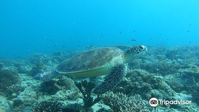 Iatok Diving Paradise