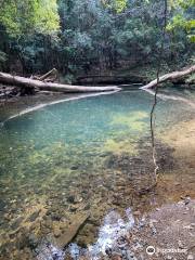 Bindarri National Park