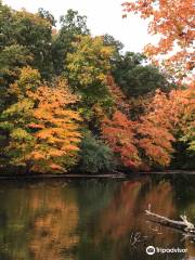 Stephen A Forbes State Park