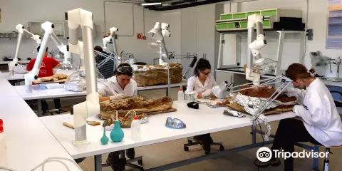 Centre de Restauració i Interpretació Paleontològica