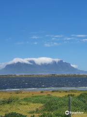 Sanccob Western Cape - Penguin Rehabilitation Center