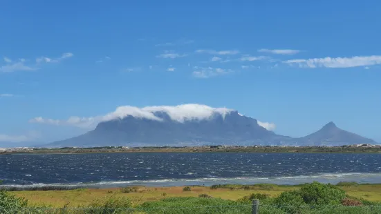 SANCCOB Cape Town