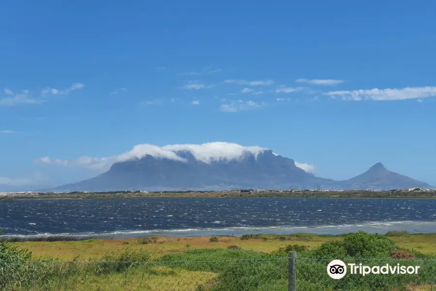 Sanccob Western Cape - Penguin Rehabilitation Center