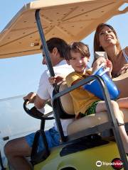 Ecco Motors Golf Cart Rentals and Service