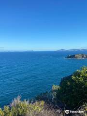 Tutukaka Headland