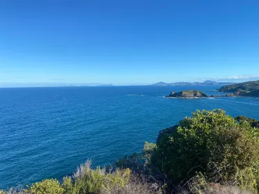 Tutukaka