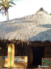 Coco Loco Surf Club