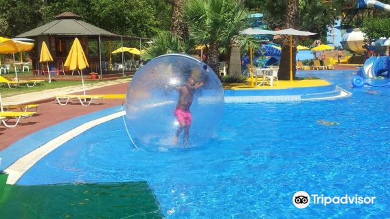 Acqua Plus
