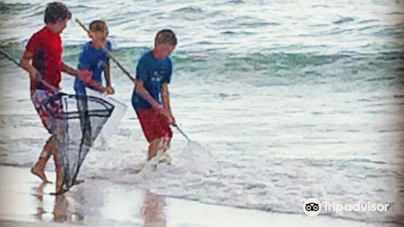 Yellowfin Ocean Sports