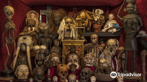 The Viktor Wynd Museum of Curiosities, Fine Art & UnNatural History