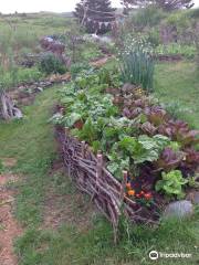 Pebble and Fern Market Garden