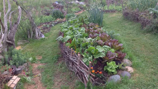 Pebble and Fern Market Garden