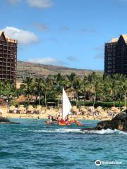 Hawaiian Ocean Adventures