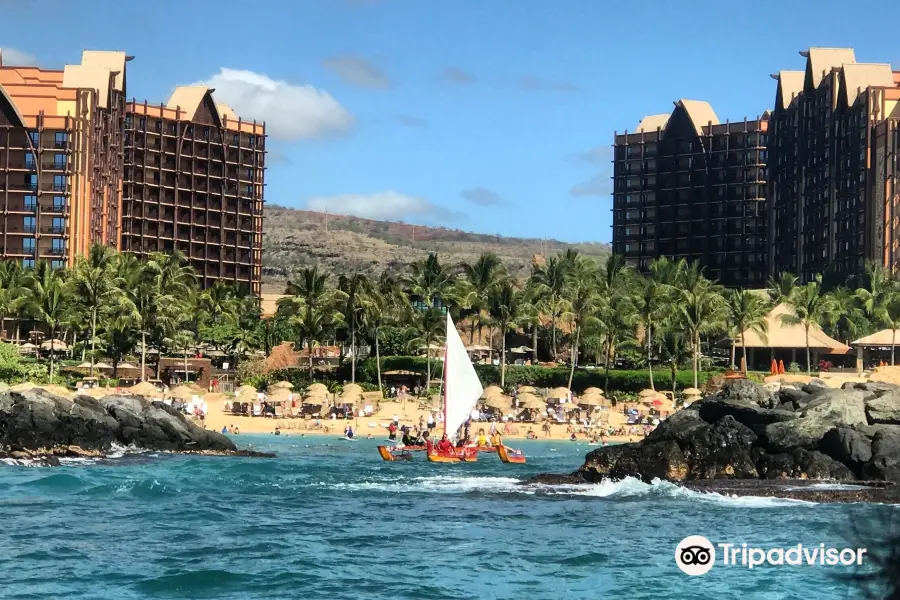 Hawaiian Ocean Adventures