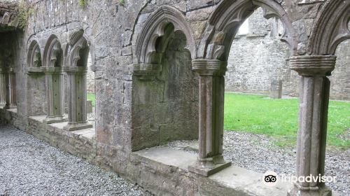 Bective Abbey