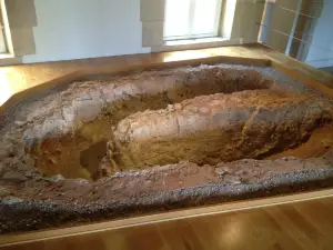 Musee du Sel