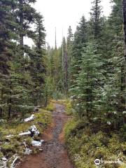 Malheur National Forest