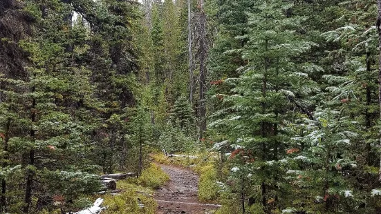 Malheur National Forest