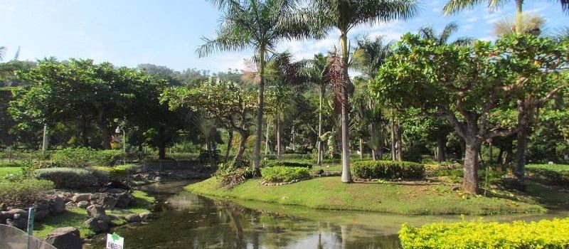 Turtle River Park
