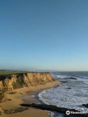 Pelican Point Beach