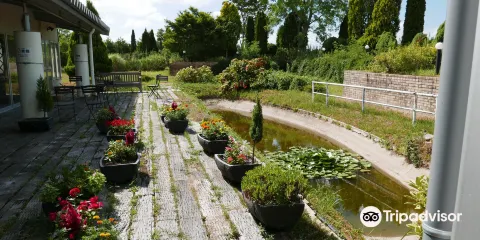 Nanao Flower Park & Noto Ochid Land