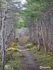 Berry Hill Campground