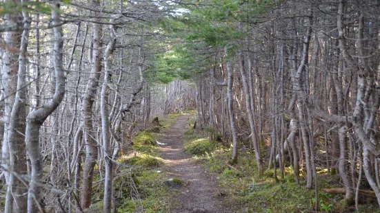 Berry Hill Pond Trail