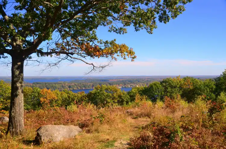 فنادق في Rome