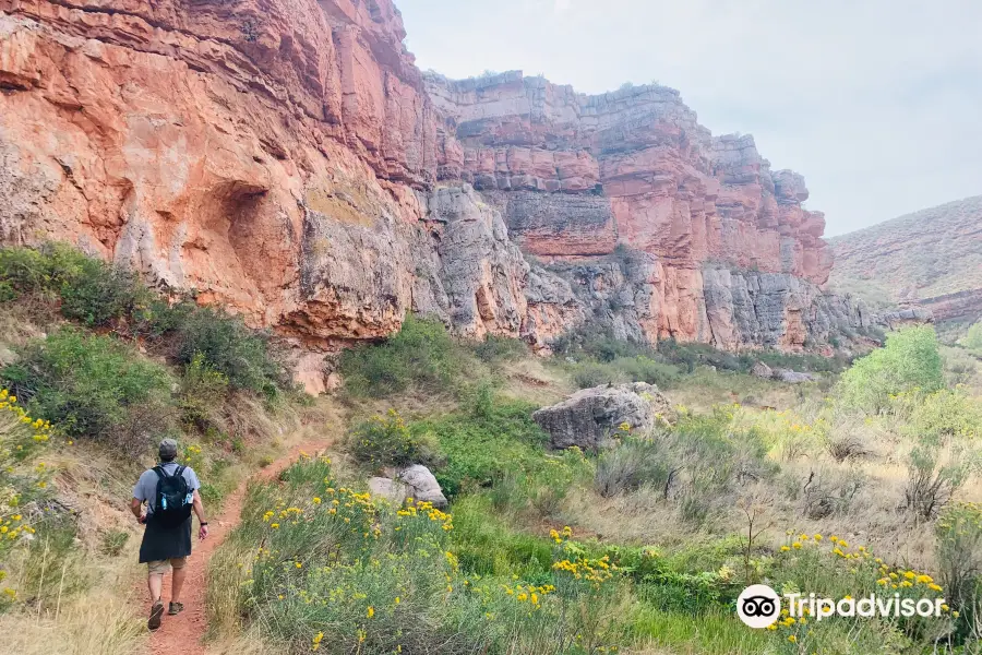 Red Mountain Open Space