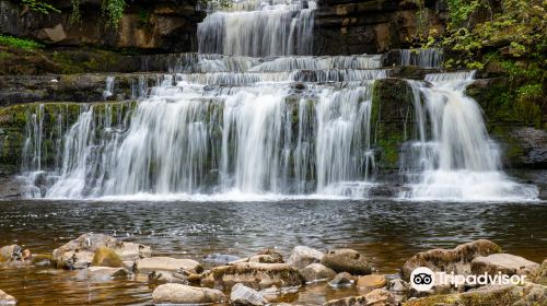 Cotter Force