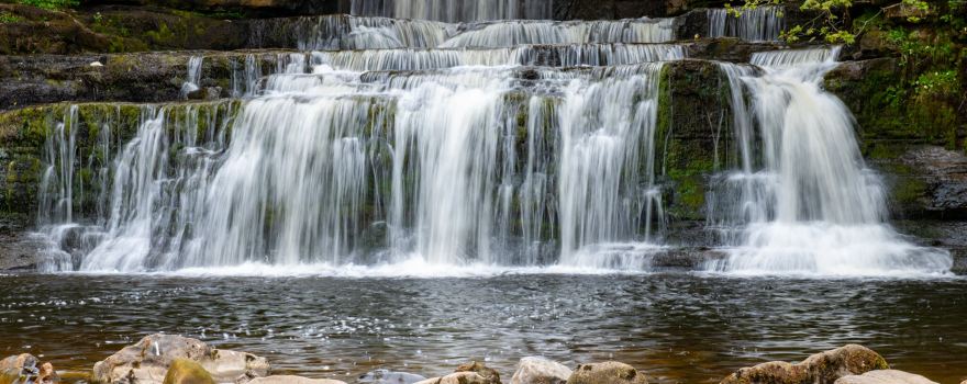 Cotter Force