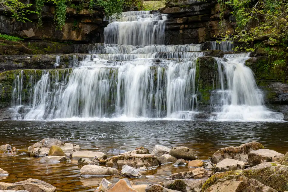 1_Cotter Force