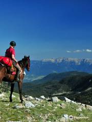 Panorama-Trails Horse Adventure