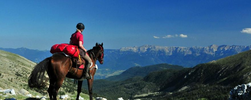 Panorama-Trails Horse Adventure