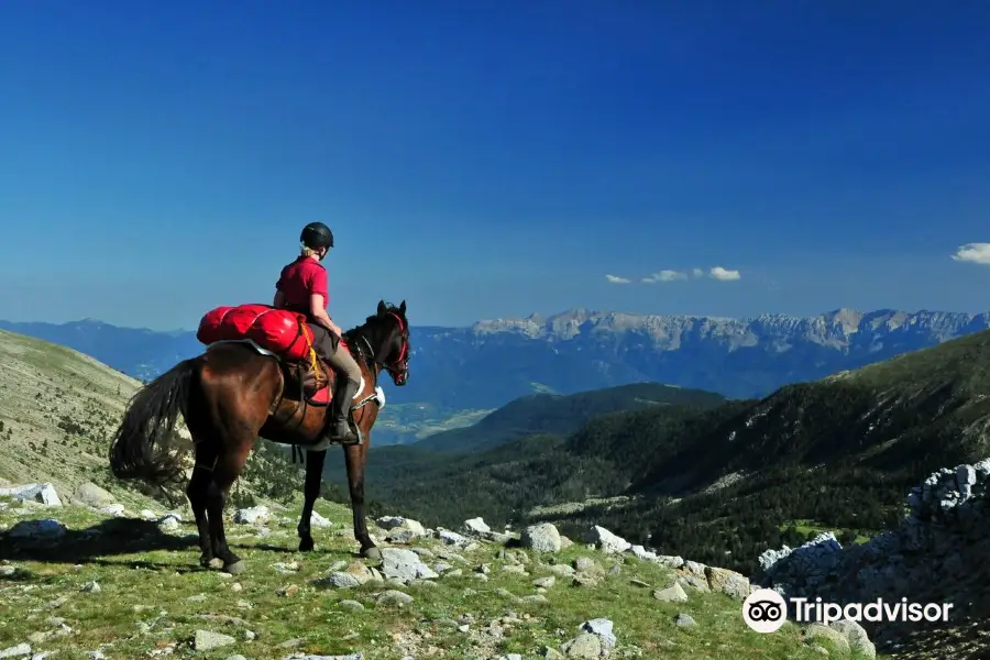 Panorama-Trails Horse Adventure
