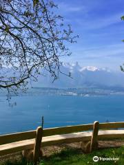 Panorama Rundweg Thunersee