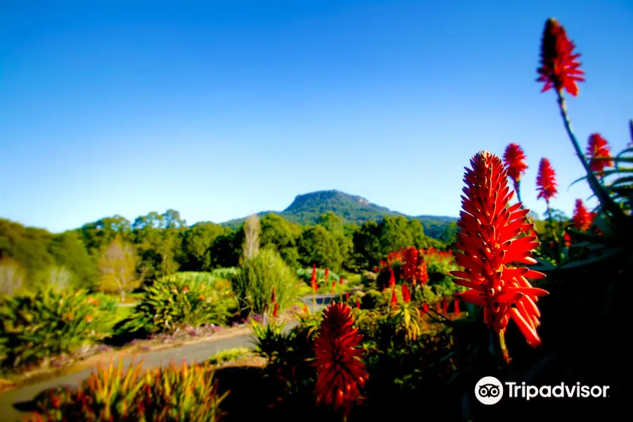 Wollongong Botanic Garden