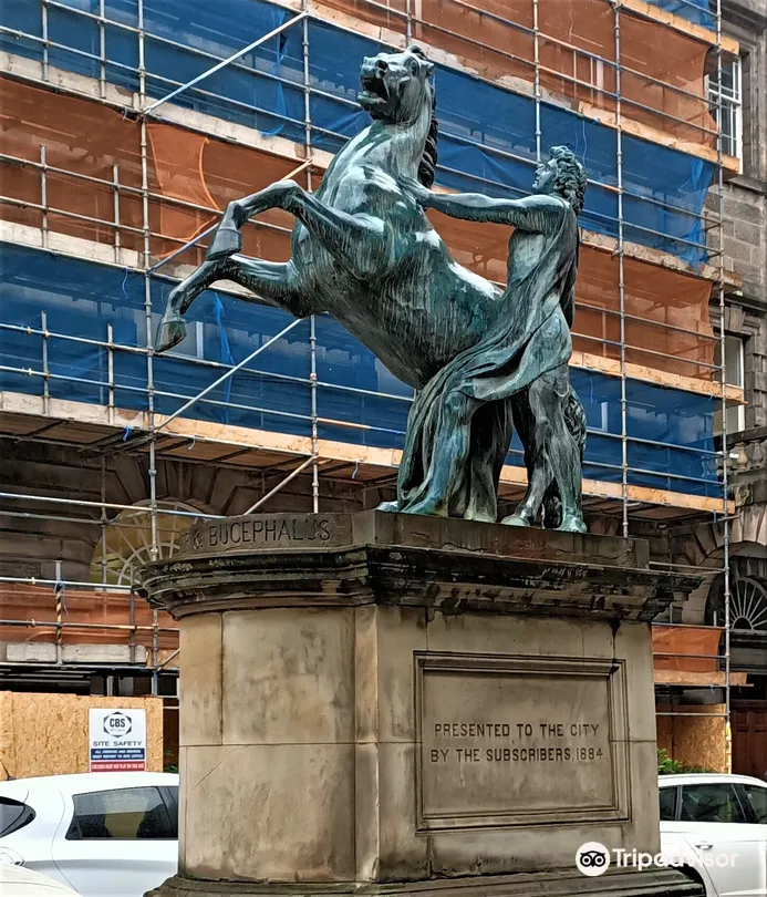 4_Alexander and Bucephalus Statue