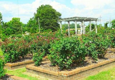 Wilson Rose Garden